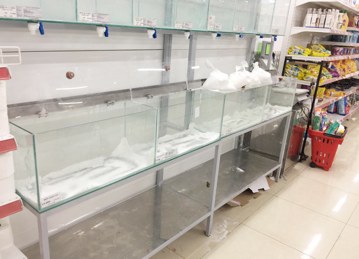 Vỡ trận bán tháo: Dân đổ xô tranh nhau vét sạch kệ siêu thị-10
