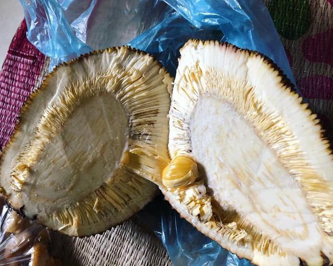 Thích ăn mít nên quyết tâm tự trồng, cô nàng chưng hửng khi chẳng được quả ngọt mà lại nhận trái đắng thế này-2