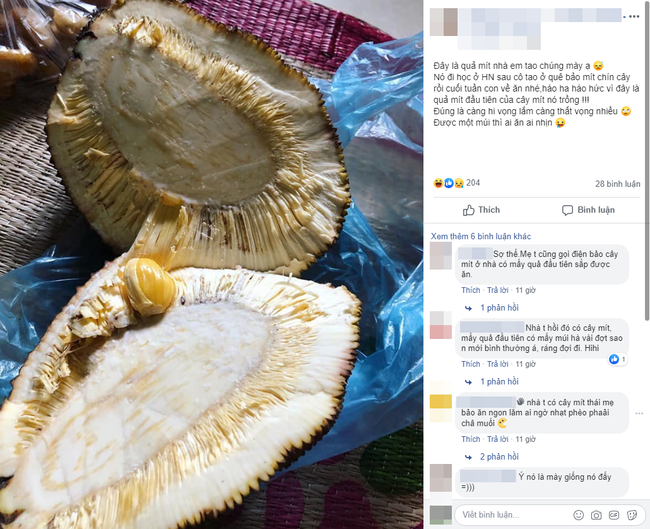 Thích ăn mít nên quyết tâm tự trồng, cô nàng chưng hửng khi chẳng được quả ngọt mà lại nhận trái đắng thế này-1