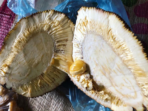 Than thở vì đầu tháng cô hồn đã gặp quả mít lạ, chàng trai lại gặp ngay phản ứng bất ngờ của dân mạng-6