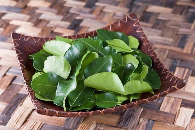 Lá chanh ở Việt Nam chỉ để ăn với thịt gà, sang châu Âu bán 6,3 triệu/kg-2