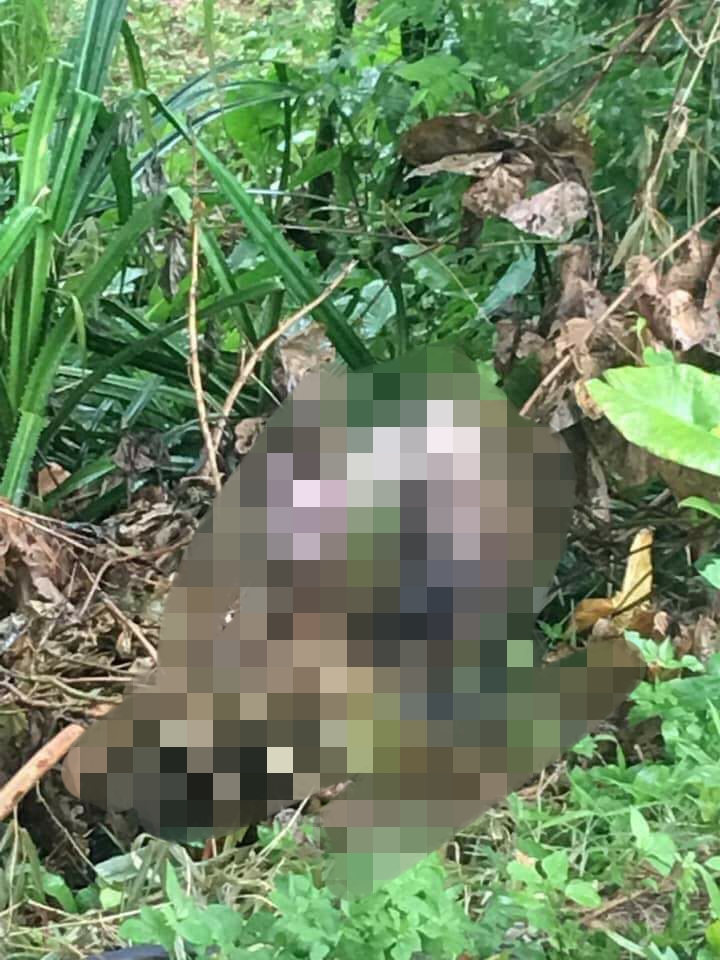 Người đàn ông chết bí ẩn trong bụi cỏ: Gia đình trình báo mất tích đã 5 ngày-1