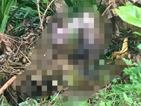 Xe chở hài cốt liệt sĩ lao xuống ruộng ở Hà Tĩnh-4