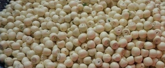 Sen vào vụ, hạt sen Huế ‘cháy hàng’, loạn giá: Dấu hiệu nhận biết-1