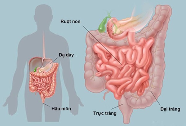 Ba cha con cùng bị ung thư, bác sĩ chỉ ra 9 nguyên tắc ngừa ung thư-2