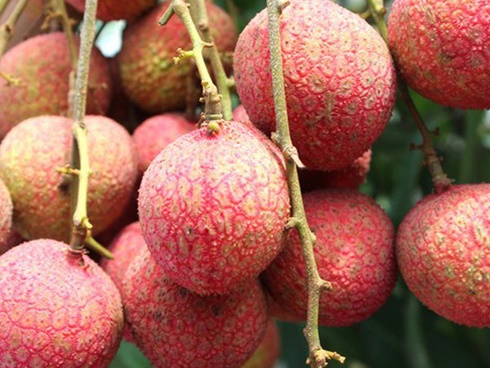 Thì ra đây là bí kíp giúp Dương Quý Phi có da trắng không tì vết, vòng 1 bức size-7