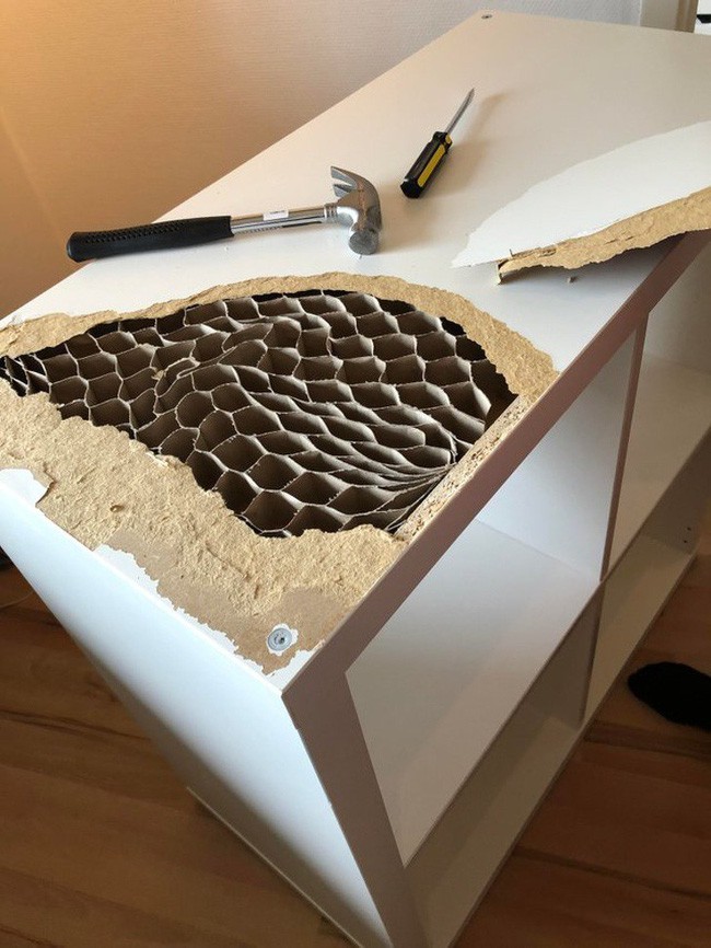 Chùm ảnh tiết lộ những sự thật bất ngờ về thế giới quanh ta khiến bạn đi từ ngạc nhiên sang trầm trồ-8