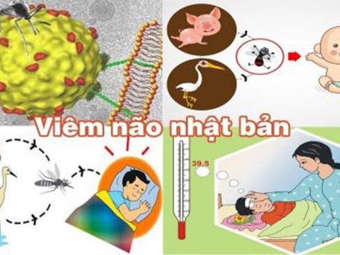 Cậu bé bị viêm não sau khi thức dậy vào ban đêm để hoàn thành 8 bài kiểm tra-3
