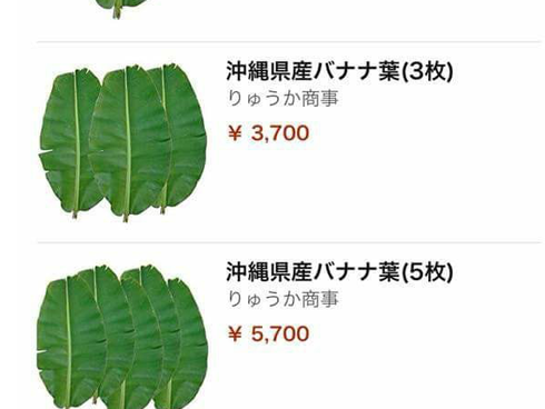 Điều kỳ diệu gì xảy ra với cơ thể nếu ăn 2 quả chuối mỗi ngày?-5