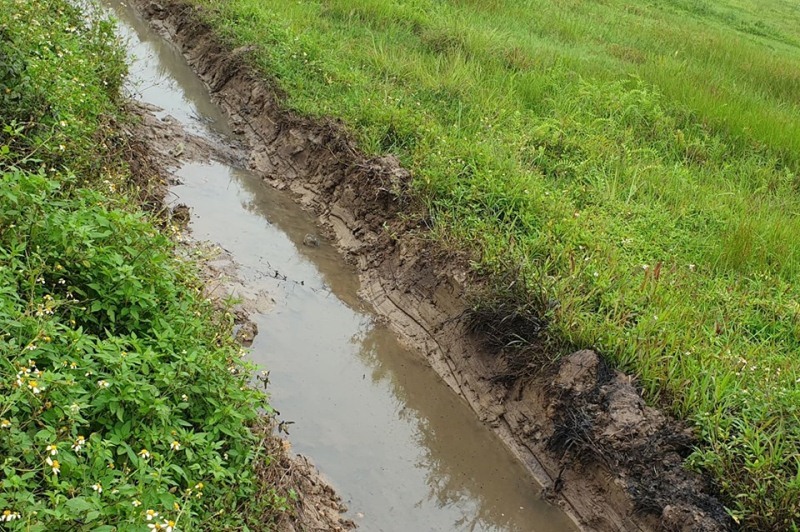 Người phụ nữ Hải Phòng bắt cua bị bỏng chân: Thêm điểm đổ chất thải độc-7