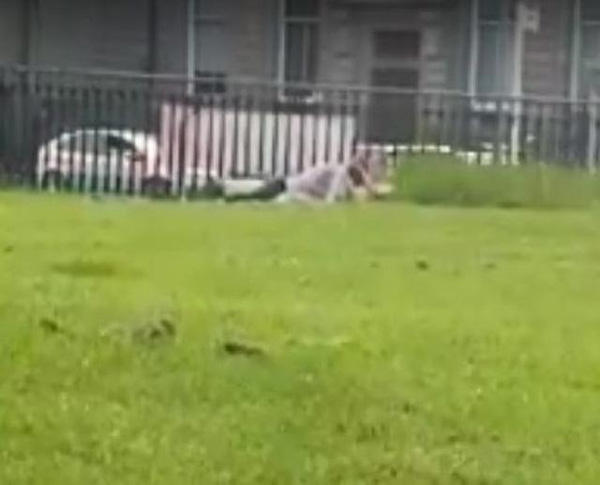 Tưởng ngồi ăn đồ nướng, cặp đôi bỗng nhiên trai trên gái dưới ngay giữa công viên-1