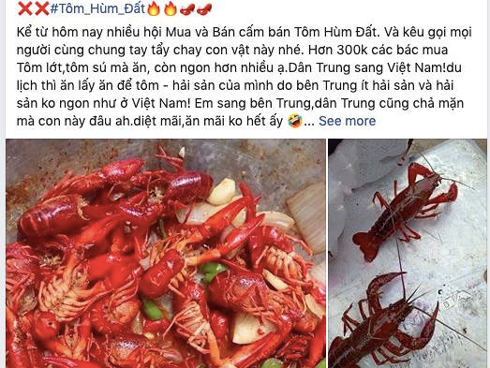 Tôm hùm đất khổng lồ dài gần 1m, sống thọ 60 năm trông khiếp sợ-4