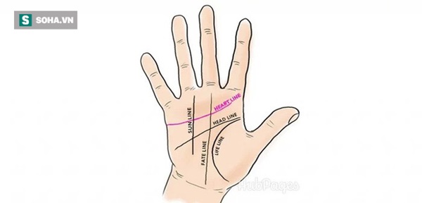 5 đường chỉ tay quan trọng đối với cuộc đời mỗi người-1