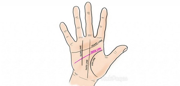 5 đường chỉ tay quan trọng đối với cuộc đời mỗi người-2