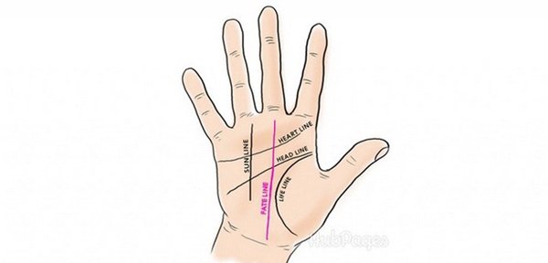 5 đường chỉ tay quan trọng đối với cuộc đời mỗi người-4