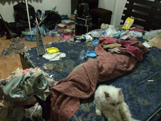 Gái xinh ở bẩn vô đối: Quần áo ngâm mấy tháng đến lúc mốc đen mới đem đi tẩy, không tẩy được thì bỏ luôn mua đồ mới-3