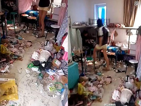 Chủ suýt ngất khi khách trọ trả phòng: Bên trong vương vãi phân, còn nguyên cả xác con chó chết-9