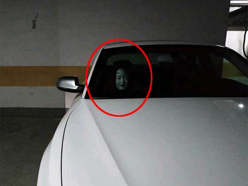 Hai tên trộm dùng súng điện trộm chó trong 3 giây-1