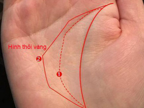 Xem chỉ tay hiếm gặp, không sớm thì muộn cũng phát tài-5