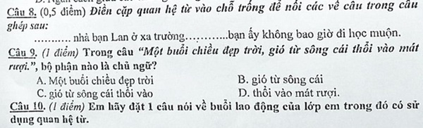 Chỉ một bài tập Tiếng Việt bắt tìm chủ ngữ của câu mà khiến dân mạng chia phe cãi nhau kịch liệt-1