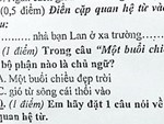 Đề thi Tiếng Việt thử tài ca dao tục ngữ dành cho người nước ngoài khiến dân mạng vò đầu bứt tai không làm được-2