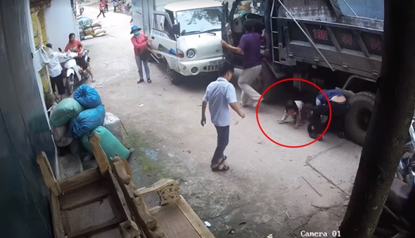 Cô gái trẻ bị bánh ô tô cán qua người tử vong, 2 em bé đi cùng thoát chết thần kỳ, bò ra từ gầm xe tải-2