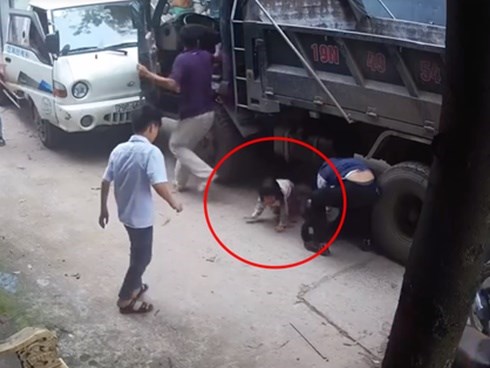 Cô gái trẻ bị bánh ô tô cán qua người tử vong, 2 em bé đi cùng thoát chết thần kỳ, bò ra từ gầm xe tải