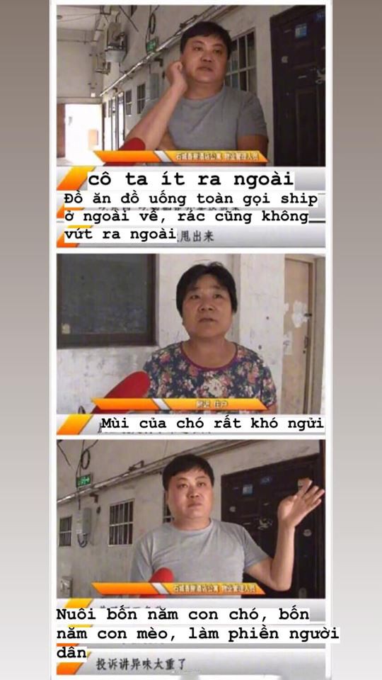 Chủ suýt ngất khi khách trọ trả phòng: Bên trong vương vãi phân, còn nguyên cả xác con chó chết-5