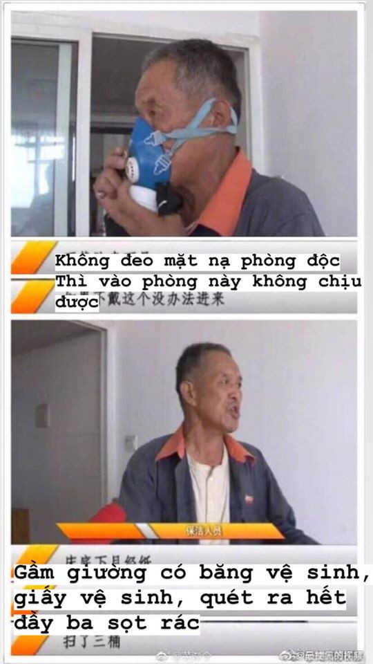 Chủ suýt ngất khi khách trọ trả phòng: Bên trong vương vãi phân, còn nguyên cả xác con chó chết-7