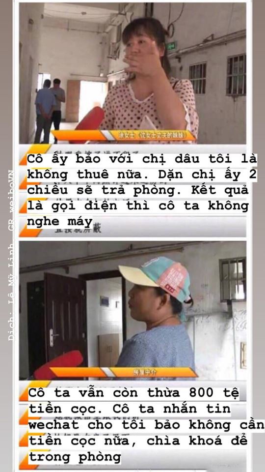 Chủ suýt ngất khi khách trọ trả phòng: Bên trong vương vãi phân, còn nguyên cả xác con chó chết-8