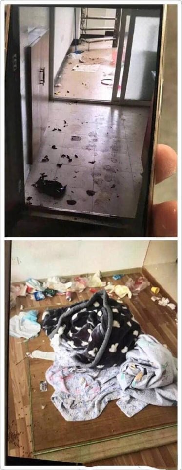Chủ suýt ngất khi khách trọ trả phòng: Bên trong vương vãi phân, còn nguyên cả xác con chó chết-3