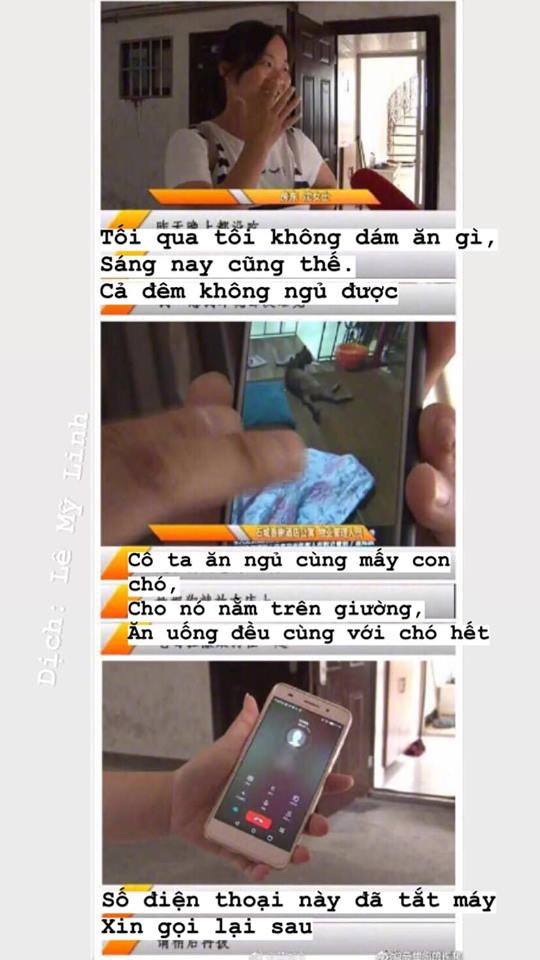 Chủ suýt ngất khi khách trọ trả phòng: Bên trong vương vãi phân, còn nguyên cả xác con chó chết-2