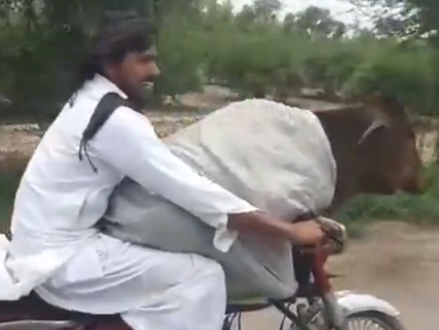 Clip: Bò ‘điên’ đại náo trên phố, húc nhiều người bị thương ở Bình Dương-1