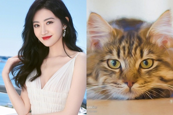 Lấy vợ thuộc 4 con giáp này, chồng như vớ được vàng, hết giàu sang lại phú quý, ai nhìn cũng phát thèm-3