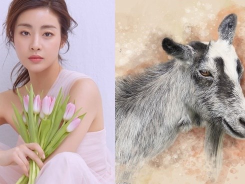 Lấy vợ thuộc 4 con giáp này, chồng như 