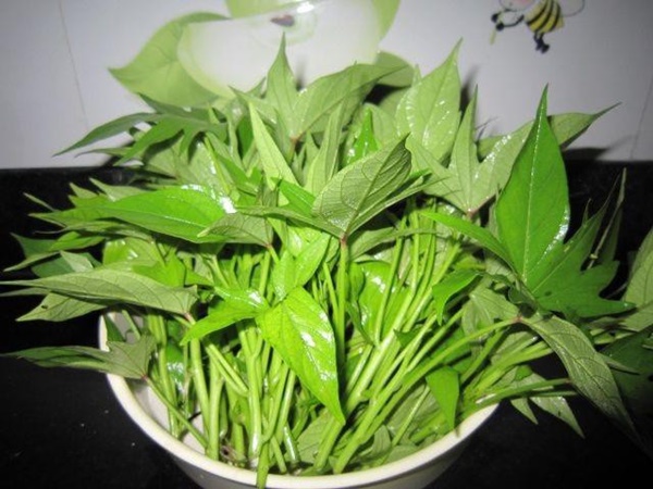 Khoai lang vừa ngon lại bổ dưỡng nhưng 2 bộ phận tinh hoa này thường bị vứt bỏ hoặc ít dùng-2