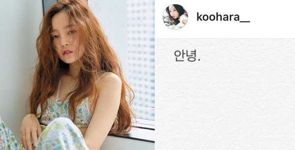 Sốc: Nữ idol đình đám Goo Hara cố tự tử tại nhà riêng, để lại lời nhắn Tạm biệt fan trên Instagram-1