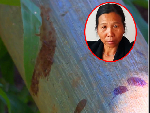 Tiết lộ sốc về nữ hung thủ sát hại ba 3 bà cháu ở Lâm Đồng-6