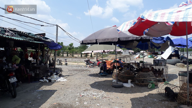 Khu chợ bàn tán xôn xao về mẹ nữ sinh giao gà bị sát hại: Lúc nào cũng quần là áo lượt, buôn bán chỉ làm cho vui-1