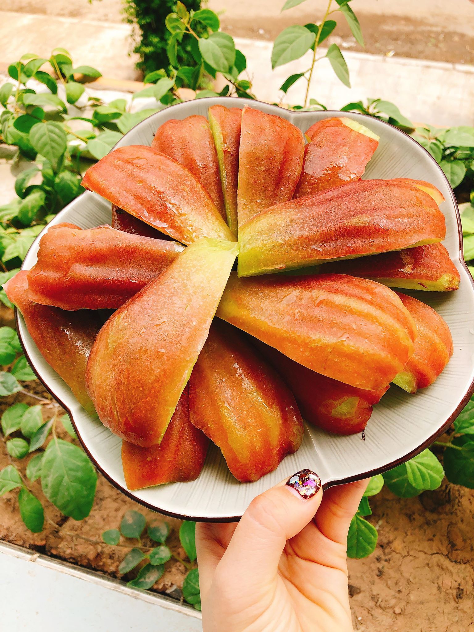 Roi khổng lồ to như xoài tượng: Giải nhiệt 350 ngàn/quả-3