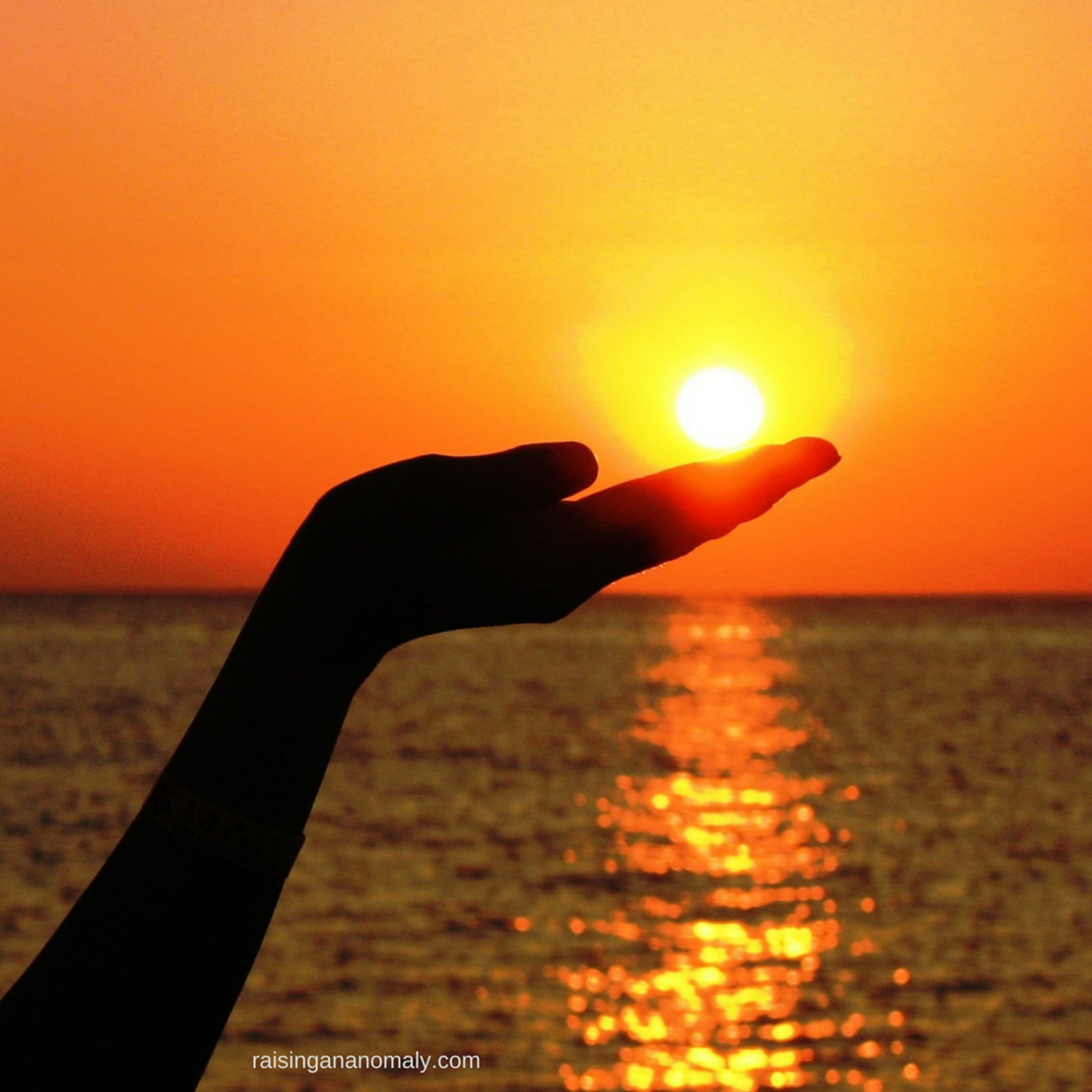 4 năm trước thầy Đỗ Đức Anh, từng có 1 thầy giáo người Ý làm rung chuyển MXH thế giới với 15 bài tập hè độc đáo, phá vỡ truyền thống giáo dục-4