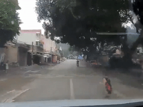 Tài xế xử lý xuất thần tránh kịp bé trai bất ngờ lao sang đường