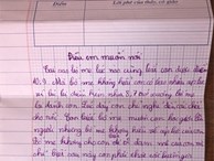 'Những cái giật mình' sau thư phản đối áp lực điểm 10 của cậu bé lớp 4