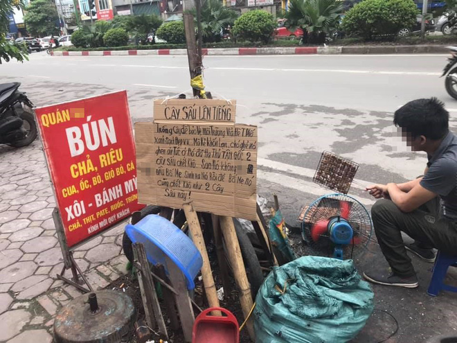 Tấm biển Cây sấu lên tiếng và câu nói siêu gắt của người giấu mặt trên phố Hà Nội-2