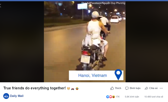 Clip: Anh trai chở 4 boss mèo đi xe máy ở Hà Nội khiến dân mạng quốc tế vừa thích thú vừa tranh cãi rần rần-1