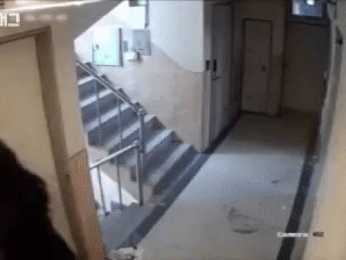 Rình rập để hiếp dâm: Nỗi sợ hãi bủa vây phụ nữ Hàn sống một mình-4