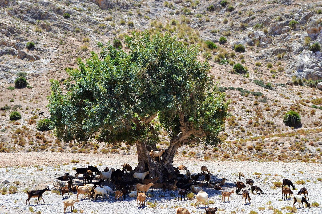 Philippines: Từ bây giờ, nếu muốn tốt nghiệp hết cấp hoặc Đại học, các bạn trẻ phải trồng ít nhất 10 cây xanh-1