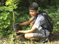 Philippines: Từ bây giờ, nếu muốn tốt nghiệp hết cấp hoặc Đại học, các bạn trẻ phải trồng ít nhất 10 cây xanh