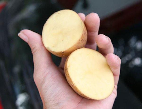 Khôi phục chống dính nhạy gấp 5, biến chảo cũ rỉ sét thành như mới với loại củ rẻ bèo-3