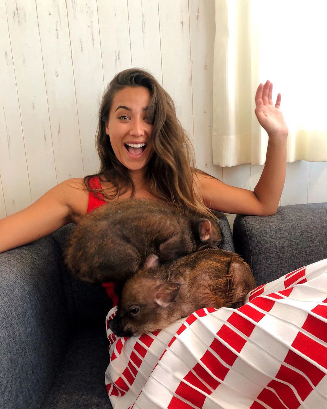 Cà phê chó, mèo thì thấy nhiều rồi. Bạn muốn mới lạ? Chào mừng bạn đến quán cà phê... heo có 1-0-2 ở Nhật Bản!-8